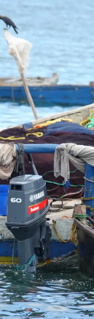 Am Fischhafen von Kilindi